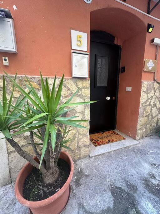 Quattro Canti Apartment Palermo Centro Storico Exterior foto